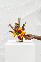 HARI HARI (Maquette)