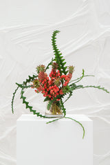 HARI HARI (Maquette)