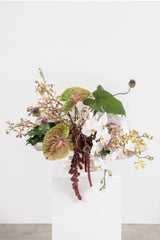 Subscription - THIS HUMID HOUSE