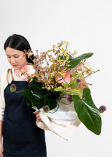 Subscription - THIS HUMID HOUSE