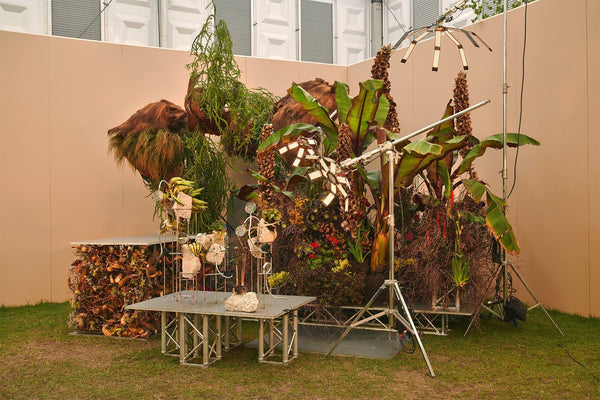 Tabula Rosa, Chelsea Flower Show 2025