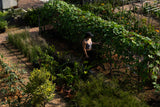 GARDEN GRAB (Bouquet)