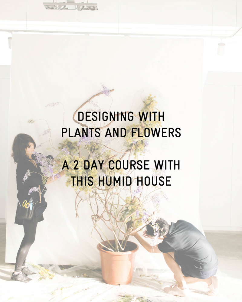 Designing with Plants and Flowers
