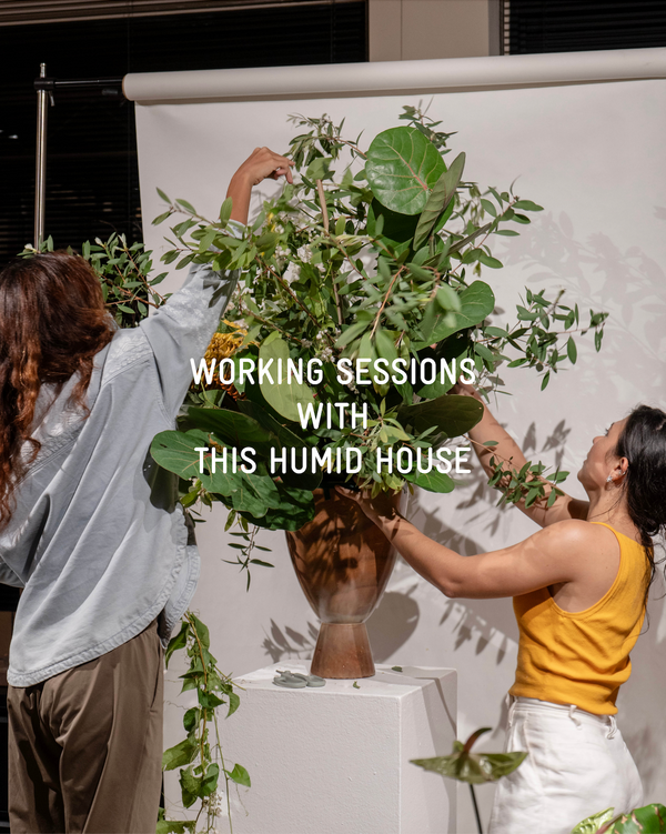 Working Sessions with THH