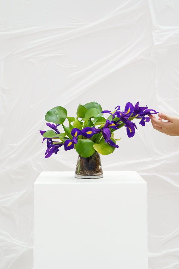 HARI HARI (Maquette)